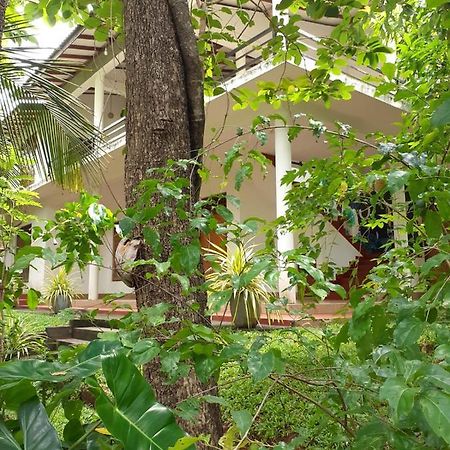 Yonara Green Rest Habarana Luaran gambar