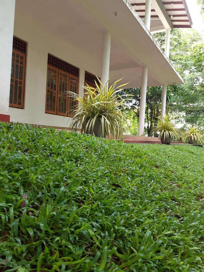 Yonara Green Rest Habarana Luaran gambar