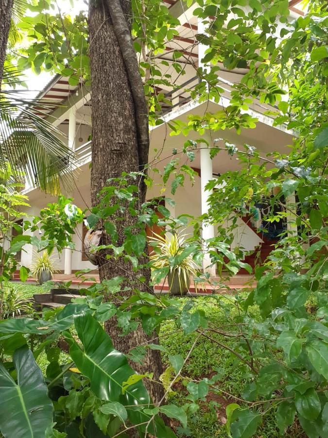 Yonara Green Rest Habarana Luaran gambar
