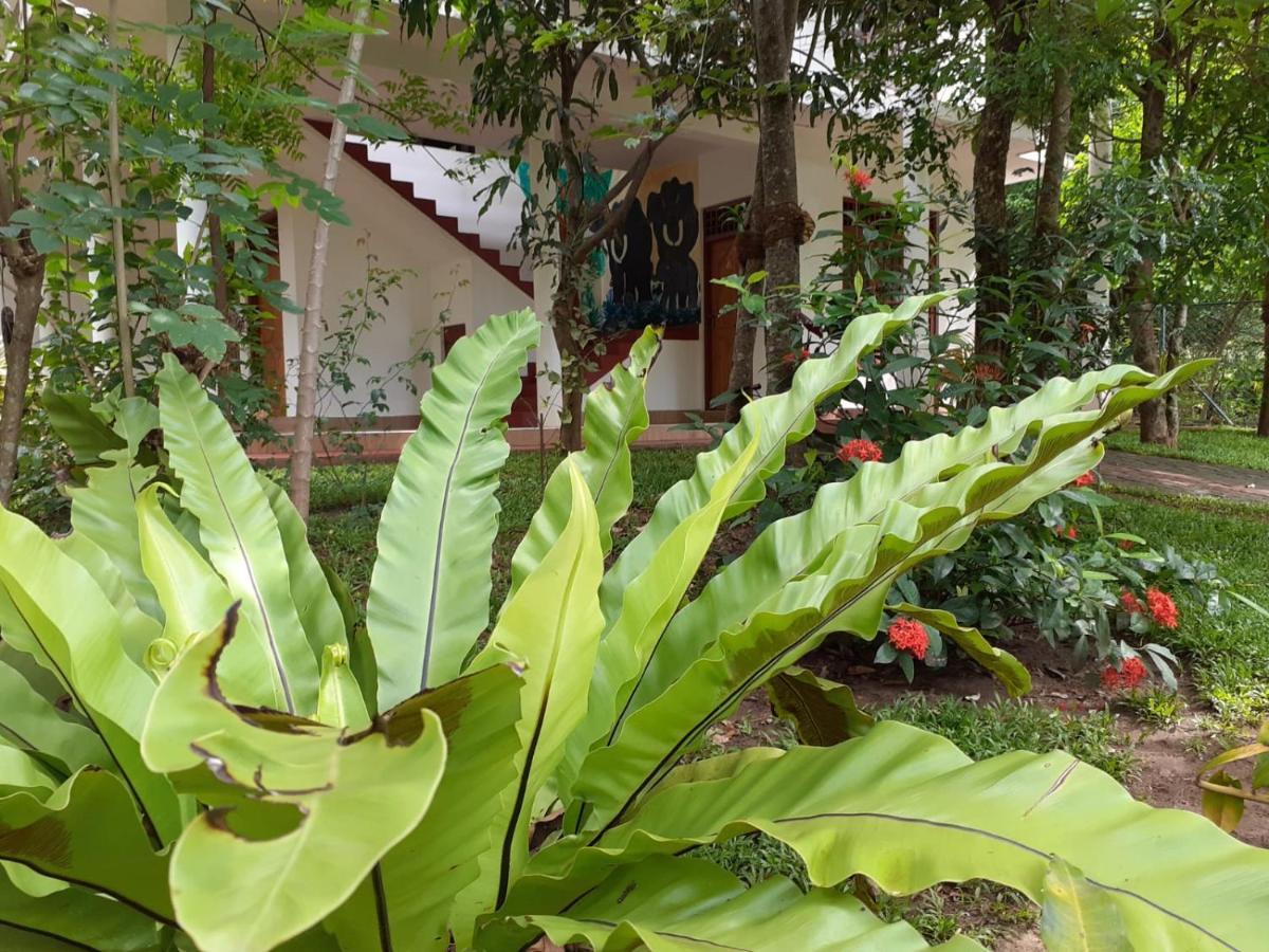Yonara Green Rest Habarana Luaran gambar