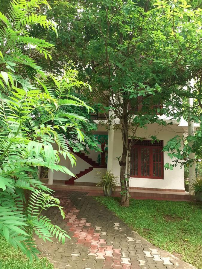 Yonara Green Rest Habarana Luaran gambar