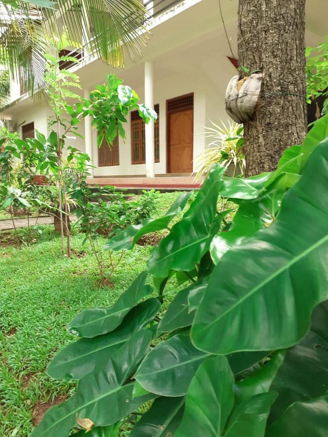 Yonara Green Rest Habarana Luaran gambar